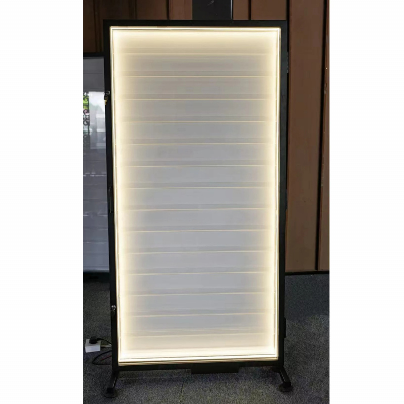 custom.Custom  Graded Playing  - Graded Card Display recensione e prezzo