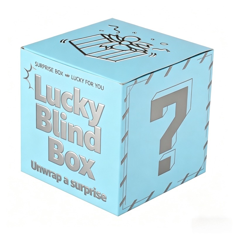 2Pcs Surprise Box-elegant Surp - Mystery Box Blind Bag recensione e prezzo