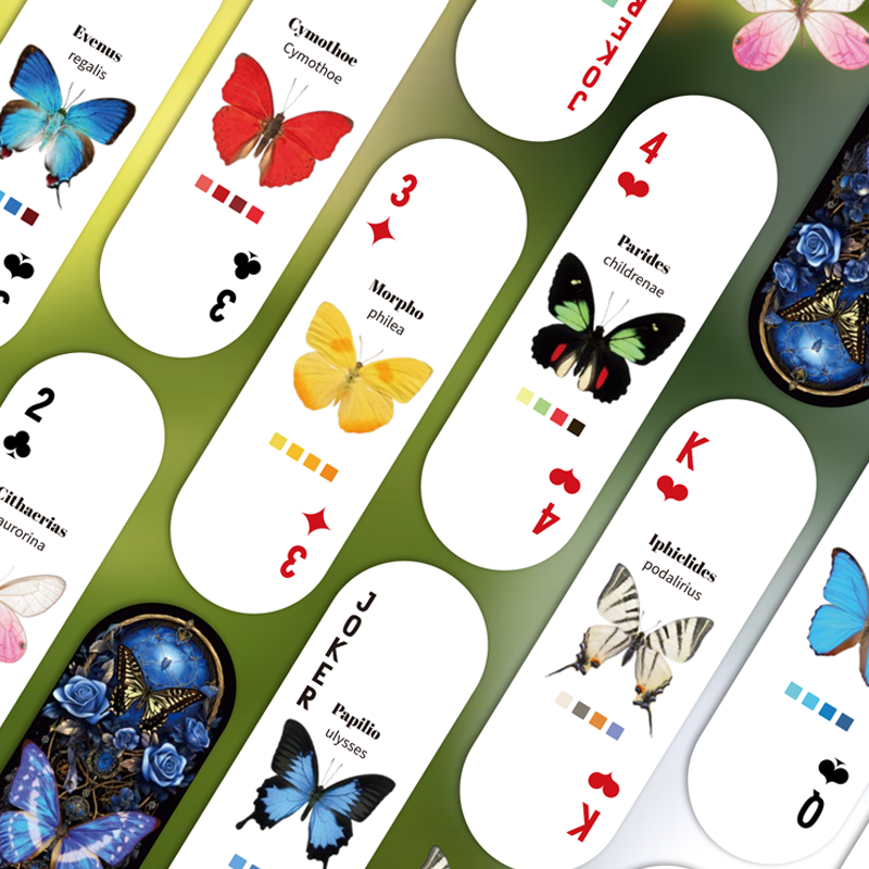 Mr.Paper Table Card Game 54/Bo - Graded Card Display recensione e prezzo