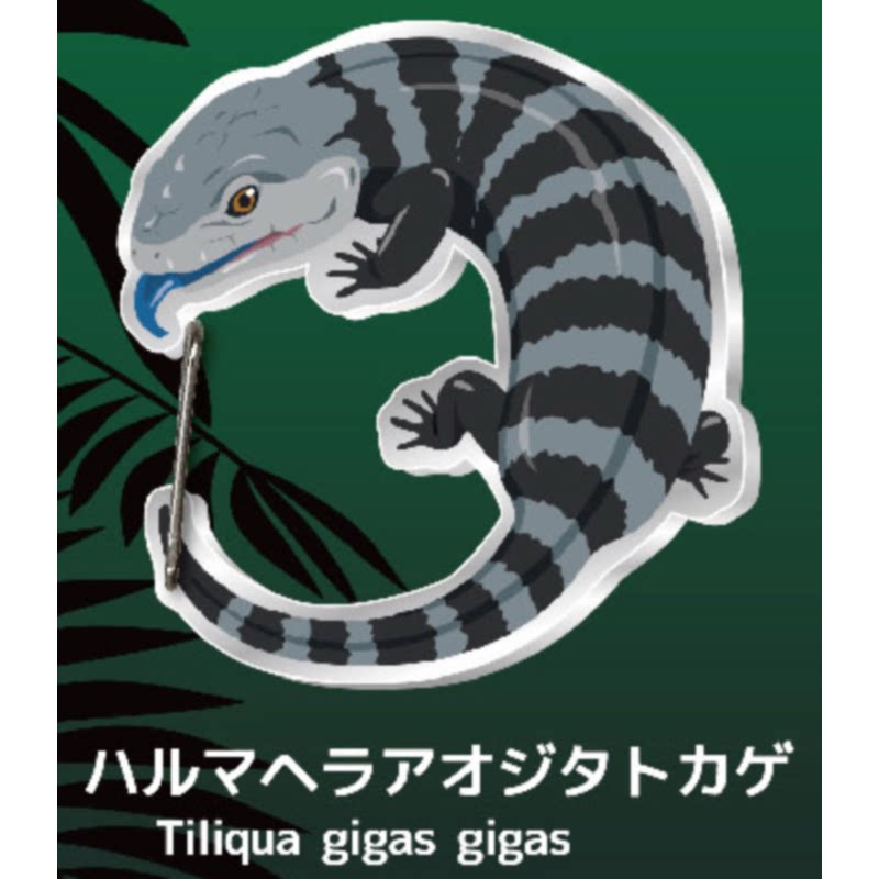 Gecko Lover Carabiner Gashapon - Capsule Toy Gashapon recensione e prezzo