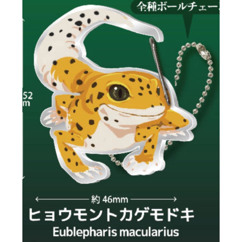 Gecko Lover Carabiner Gashapon - Capsule Toy Gashapon recensione e prezzo